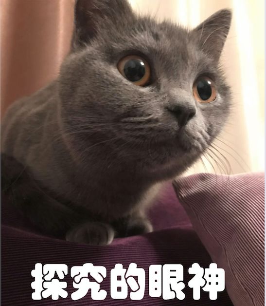 DƬ